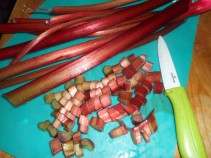 rhubarb frangipani pie 001